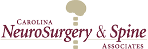 Cnsa logo img